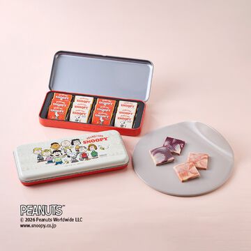 料理長スヌーピー プレートチョコレート（TA-18SV2）2種12個入