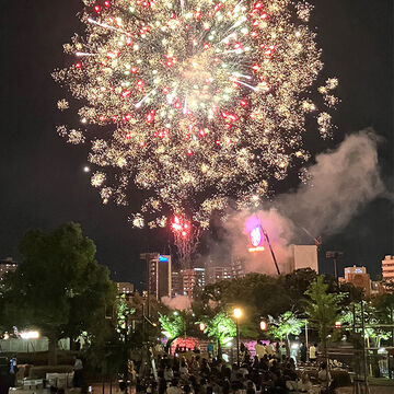 天神祭渡御行事保存協賛会主催 船渡御・奉納花火 特別観覧席付プラン