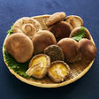 贅沢椎茸3選