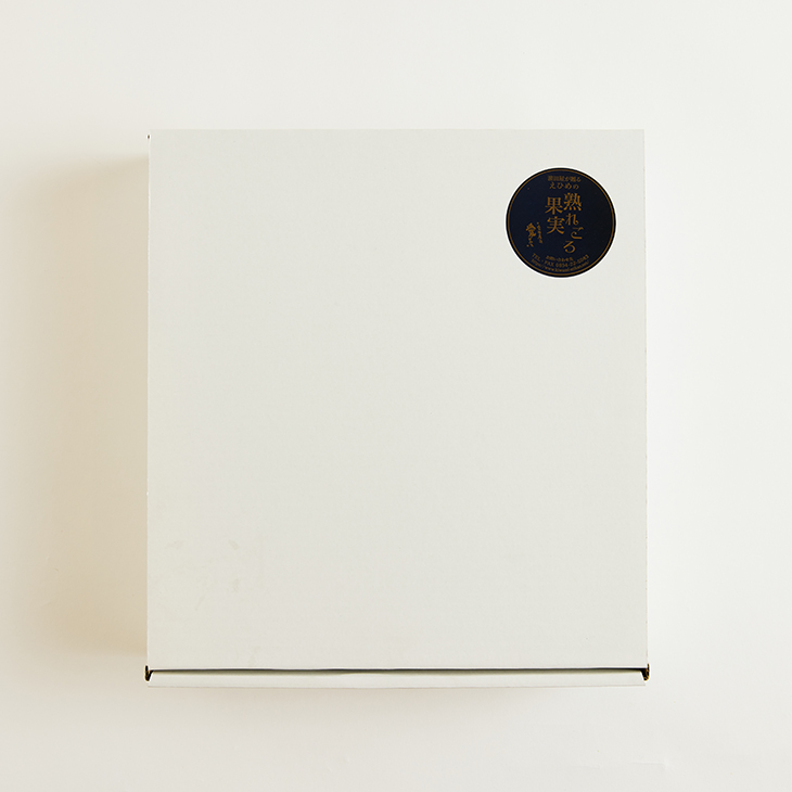 熟れごろ柑橘の缶詰セット