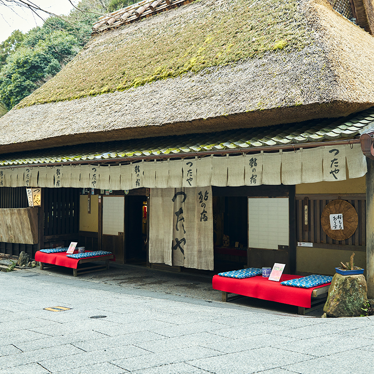 [3月25日販売開始]短夜初蛍 ～闇と光の幻想茶会～